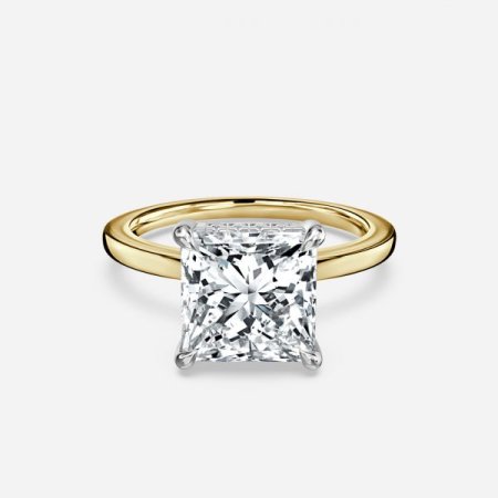 Vina Princess Hidden Halo Engagement Ring